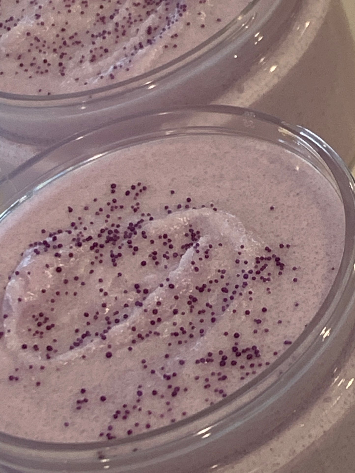 Whipped Sugar Body Scrub Designer Inspired Scents